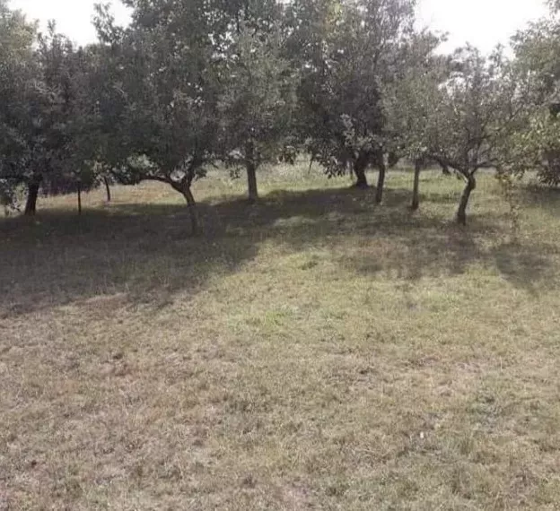 Таунхаус в Даниловграде, Черногория, 100м2 - стоимость 82&nbsp;000€ - Ref: 72536 фото 7