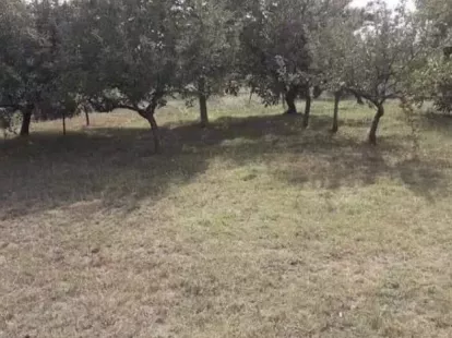 Таунхаус в Даниловграде, Черногория, 100м2 - стоимость 82&nbsp;000€ - Ref: 72536 фото 7