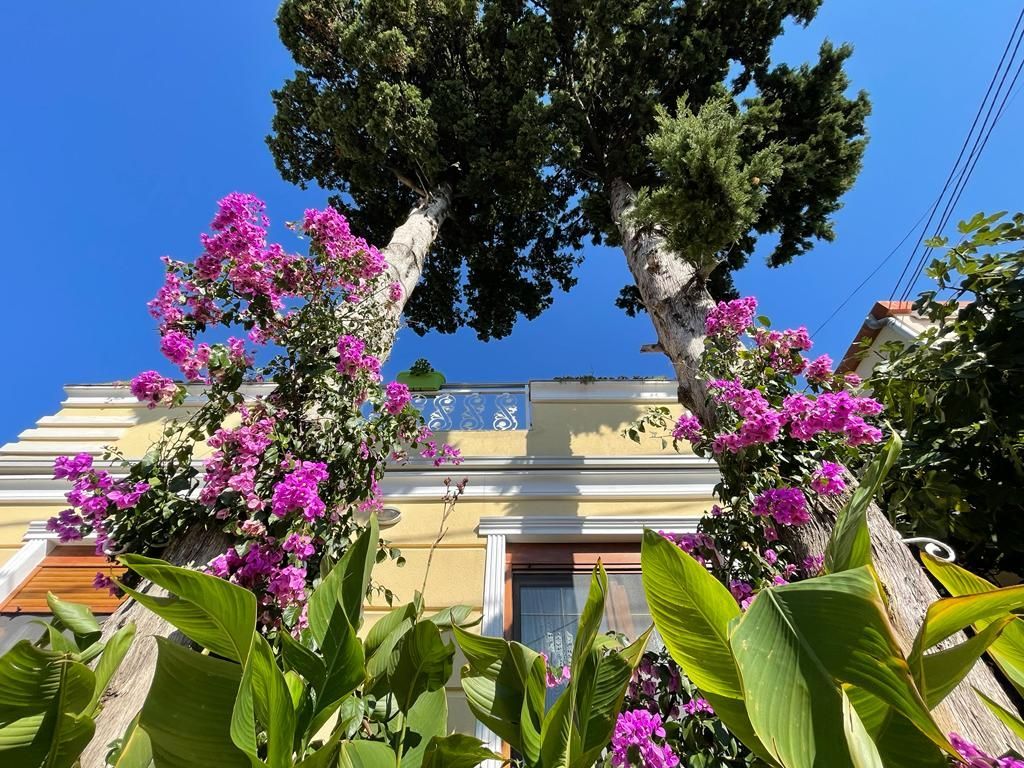 Вилла в Сутоморе, Черногория, 120м2 - стоимость 190&nbsp;000€ - Ref: 72559 фото 10