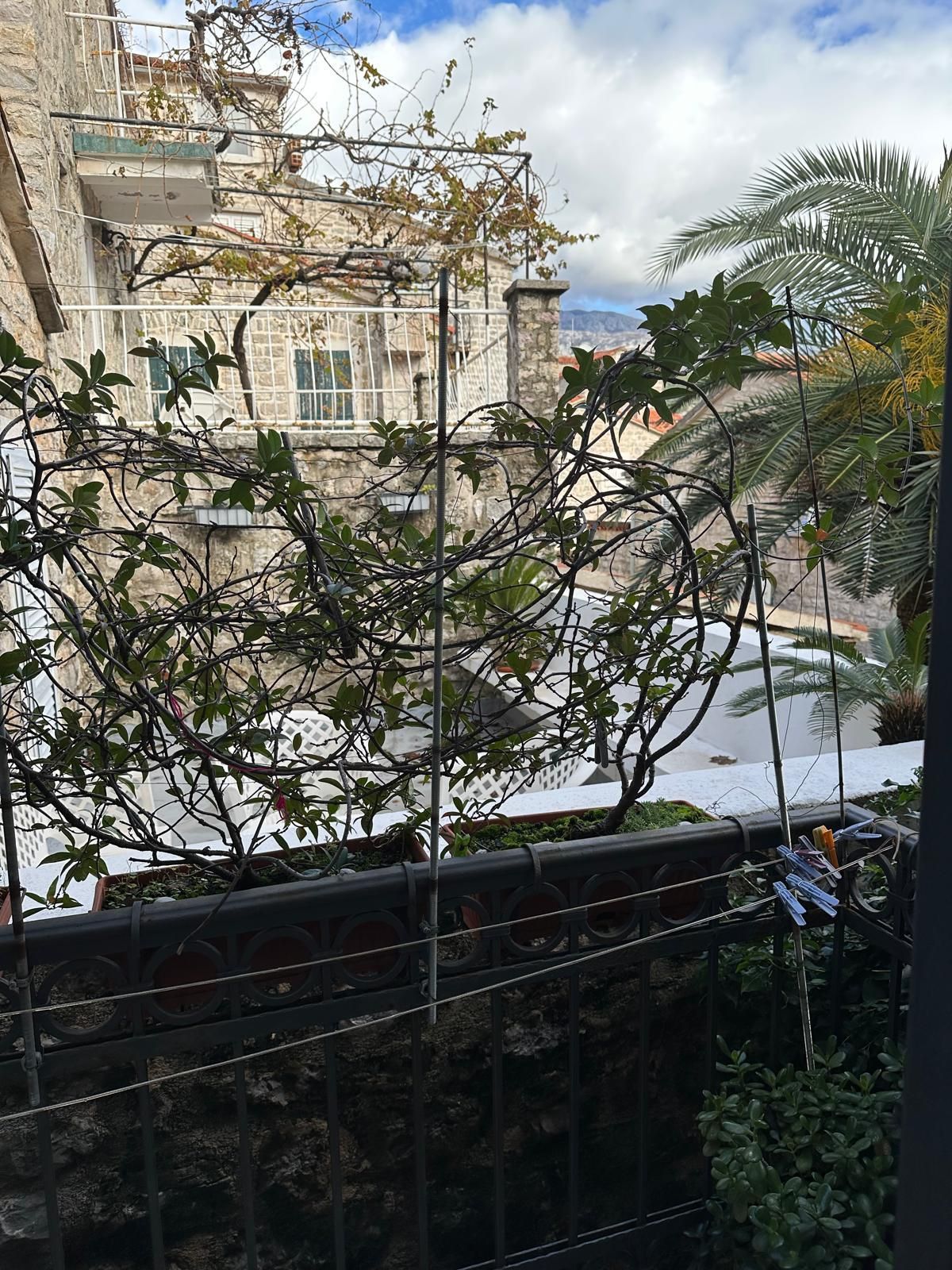 Вилла в Будве, Черногория, 70м2 - стоимость 490&nbsp;000€ - Ref: 72571 фото 2