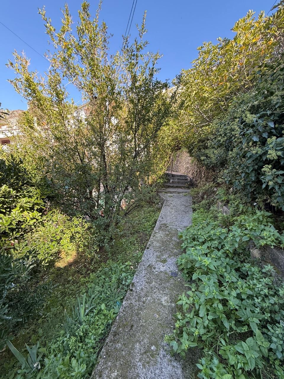 Таунхаус в Сутоморе, Черногория, 108м2 - стоимость 160&nbsp;000€ - Ref: 72582 фото 5