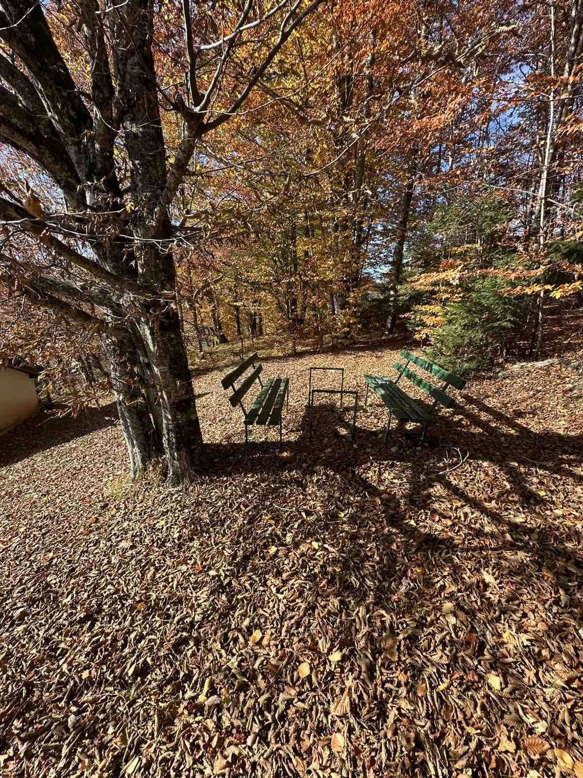 Коттедж в Колашине, Черногория, 96м2 - стоимость 79&nbsp;500€ - Ref: 72579 фото 3