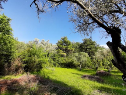 Участок в Которе, Черногория, 2 177м2 - стоимость 261&nbsp;240€ - Ref: 72575 фото 2