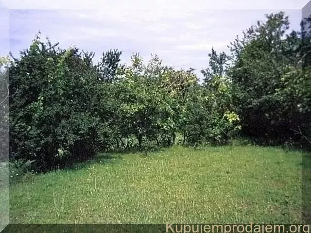 Коттедж в Даниловграде, Черногория, 52м2 - стоимость 115&nbsp;000€ - Ref: 72592 фото 4