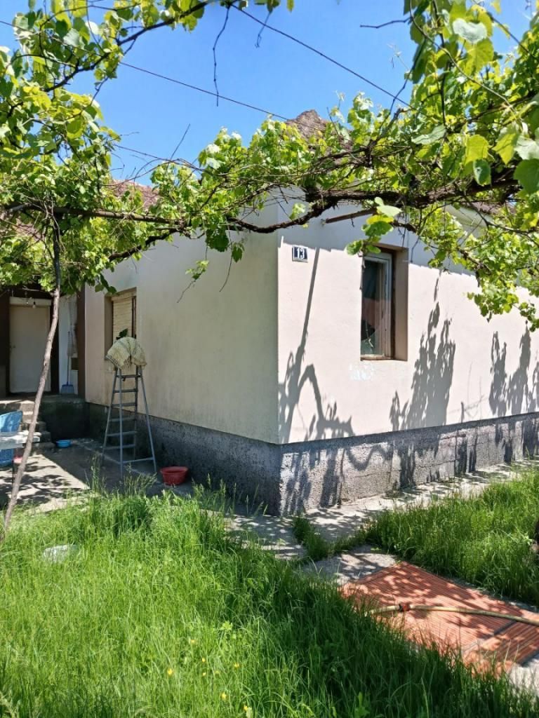 Коттедж в Даниловграде, Черногория, 130м2 - стоимость 130&nbsp;000€ - Ref: 72597 фото 1