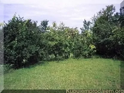 Коттедж в Даниловграде, Черногория, 52м2 - стоимость 115&nbsp;000€ - Ref: 72592 фото 4