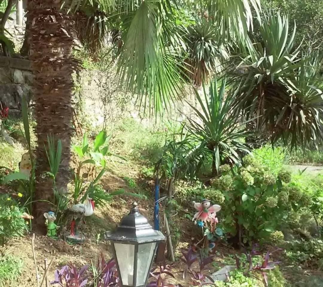 Коттедж в Сутоморе, Черногория, 157м2 - стоимость 119&nbsp;000€ - Ref: 72614 фото 12