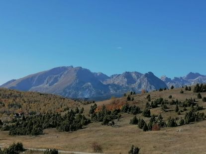 Коттедж в Жабляке, Черногория, 120м2 - стоимость 145&nbsp;000€ - Ref: 72612 фото 8