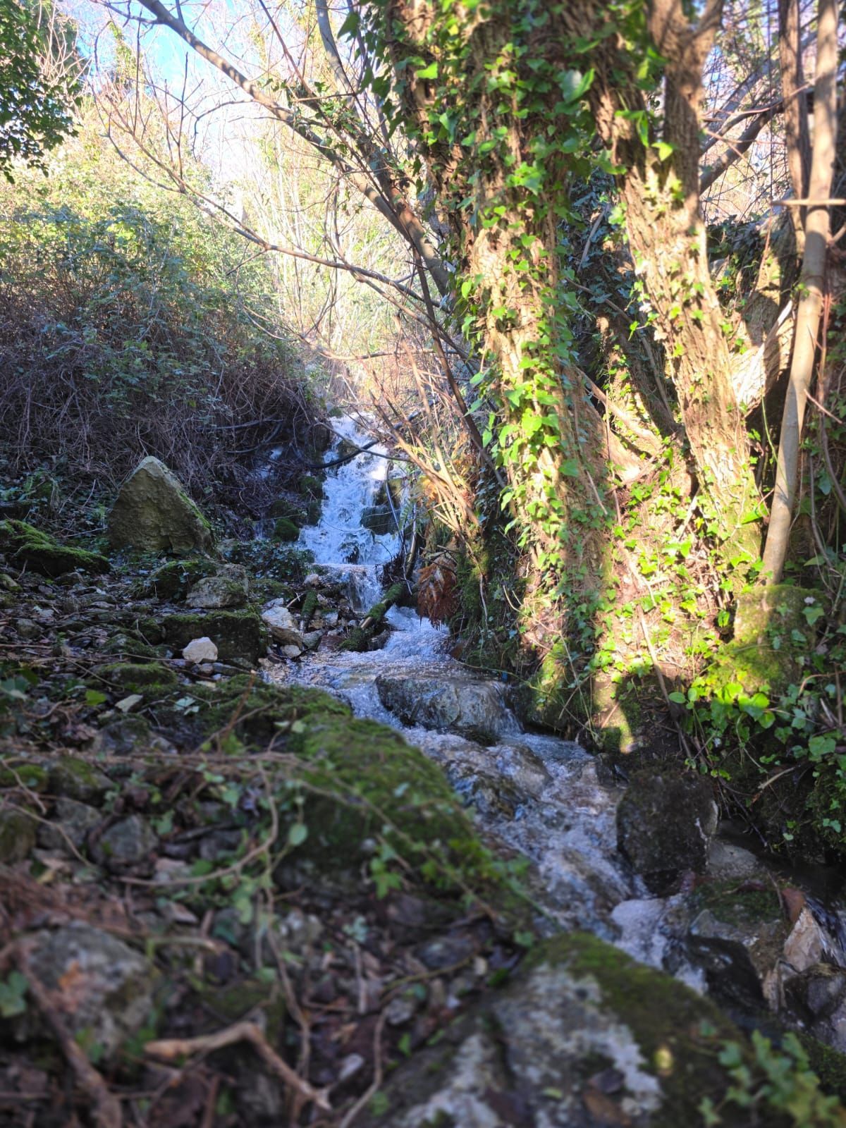 Участок в Будве, Черногория, 1 350м2 - стоимость 135&nbsp;000€ - Ref: 72633 фото 6