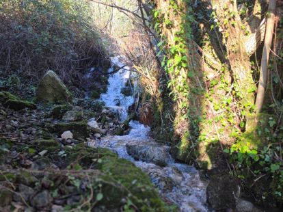 Участок в Будве, Черногория, 1 350м2 - стоимость 135&nbsp;000€ - Ref: 72633 фото 6