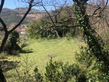 Участок в Баре, Черногория, 4 250м2 - стоимость 430&nbsp;000€ - Ref: 72670 фото 2