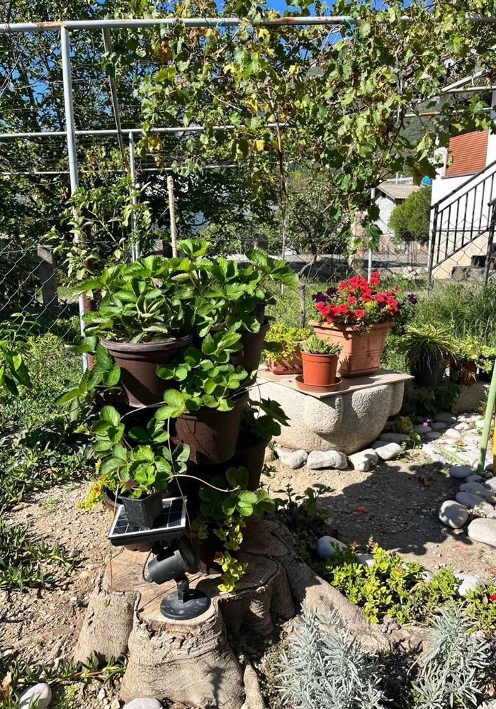 Коттедж в Сутоморе, Черногория, 152м2 - стоимость 197&nbsp;000€ - Ref: 72696 фото 10