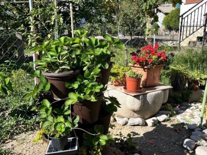 Коттедж в Сутоморе, Черногория, 152м2 - стоимость 197&nbsp;000€ - Ref: 72696 фото 10