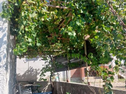 Коттедж в Сутоморе, Черногория, 50м2 - стоимость 70&nbsp;000€ - Ref: 72702 фото 6