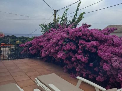 Вилла в Утехе, Черногория, 120м2 - стоимость 170&nbsp;000€ - Ref: 72717 фото 8