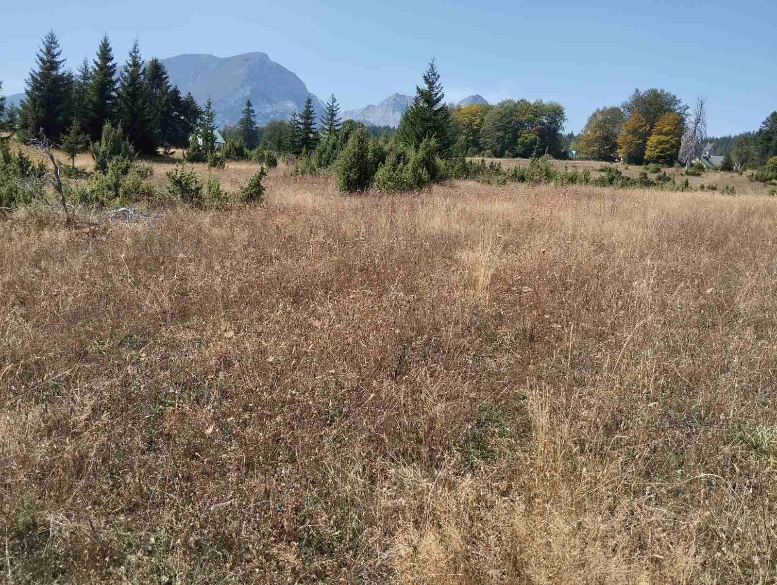 Участок в Жабляке, Черногория, 326м2 - стоимость 160€ - Ref: 72720 фото 1