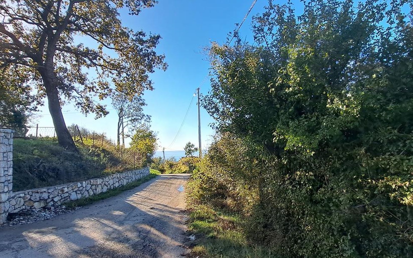 Участок в Баре, Черногория, 1 830м2 - стоимость 125&nbsp;000€ - Ref: 72723 фото 3