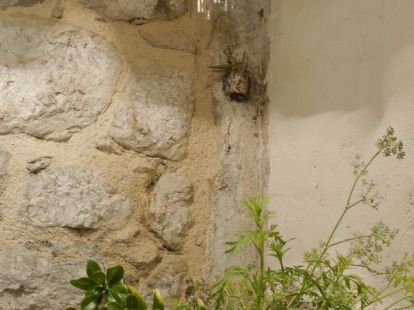 Коттедж в Которе, Черногория, 73м2 - стоимость 79&nbsp;000€ - Ref: 72722 фото 4