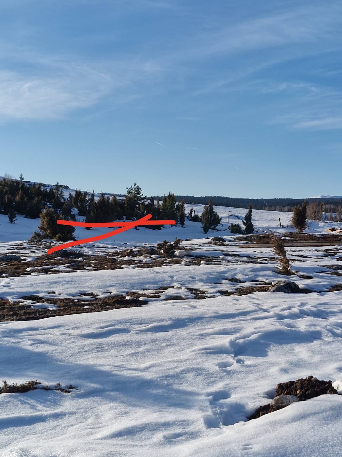 Участок в Жабляке, Черногория, 547м2 - стоимость 43&nbsp;760€ - Ref: 72725 фото 1