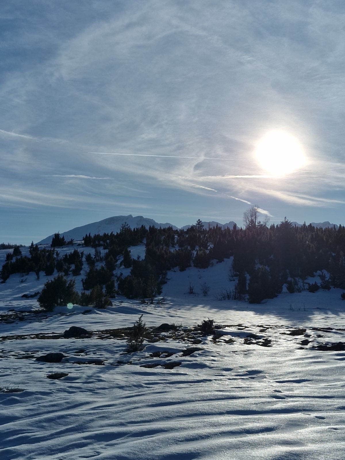 Участок в Жабляке, Черногория, 547м2 - стоимость 43&nbsp;760€ - Ref: 72725 фото 2