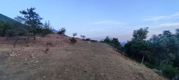 Участок в Баре, Черногория, 2 900м2 - стоимость 400&nbsp;000€ - Ref: 72733 фото 2