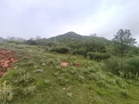 Участок в Баре, Черногория, 2 900м2 - стоимость 400&nbsp;000€ - Ref: 72733 фото 3