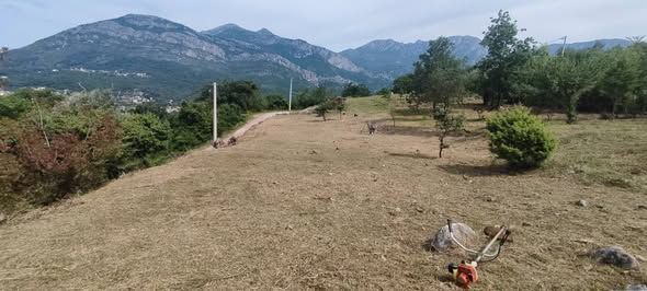 Участок в Баре, Черногория, 2 900м2 - стоимость 400&nbsp;000€ - Ref: 72733 фото 5