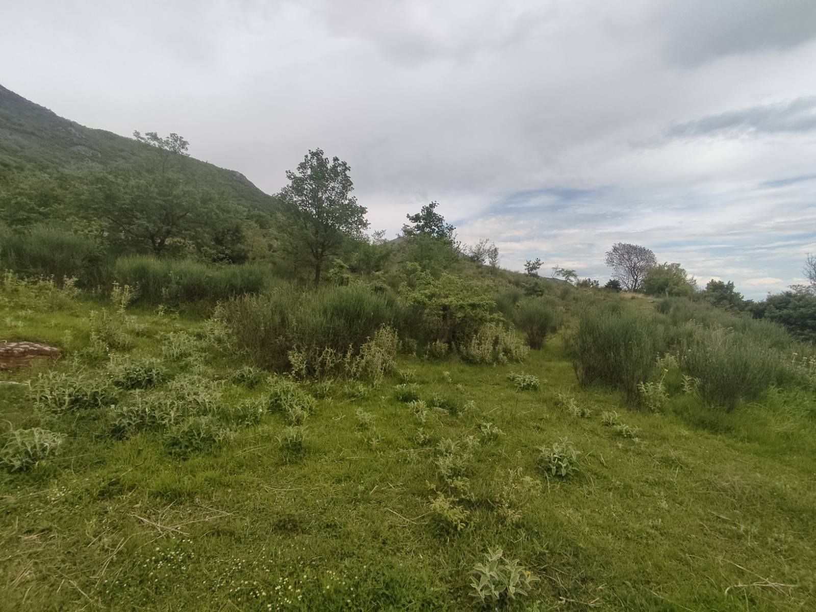 Участок в Баре, Черногория, 2 900м2 - стоимость 400&nbsp;000€ - Ref: 72733 фото 7