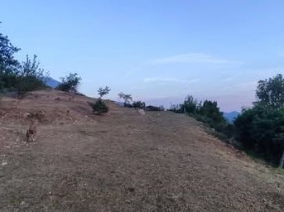 Участок в Баре, Черногория, 2 900м2 - стоимость 400&nbsp;000€ - Ref: 72733 фото 2