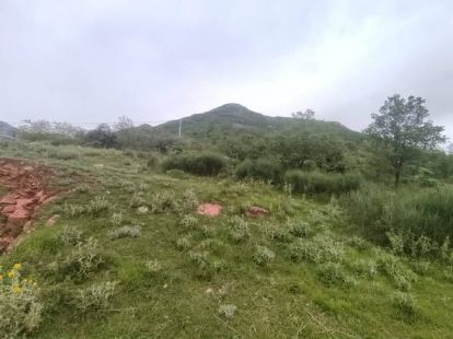 Участок в Баре, Черногория, 2 900м2 - стоимость 400&nbsp;000€ - Ref: 72733 фото 3