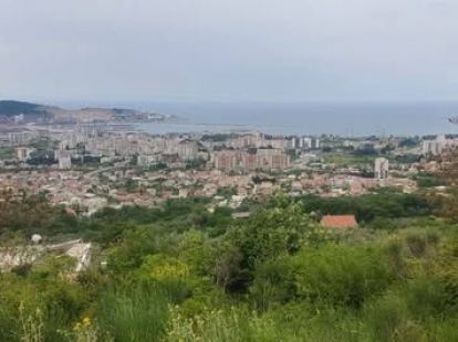 Участок в Баре, Черногория, 2 900м2 - стоимость 400&nbsp;000€ - Ref: 72733 фото 4