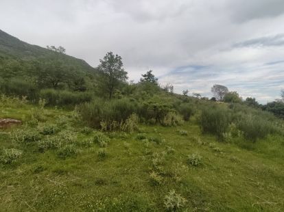 Участок в Баре, Черногория, 2 900м2 - стоимость 400&nbsp;000€ - Ref: 72733 фото 7