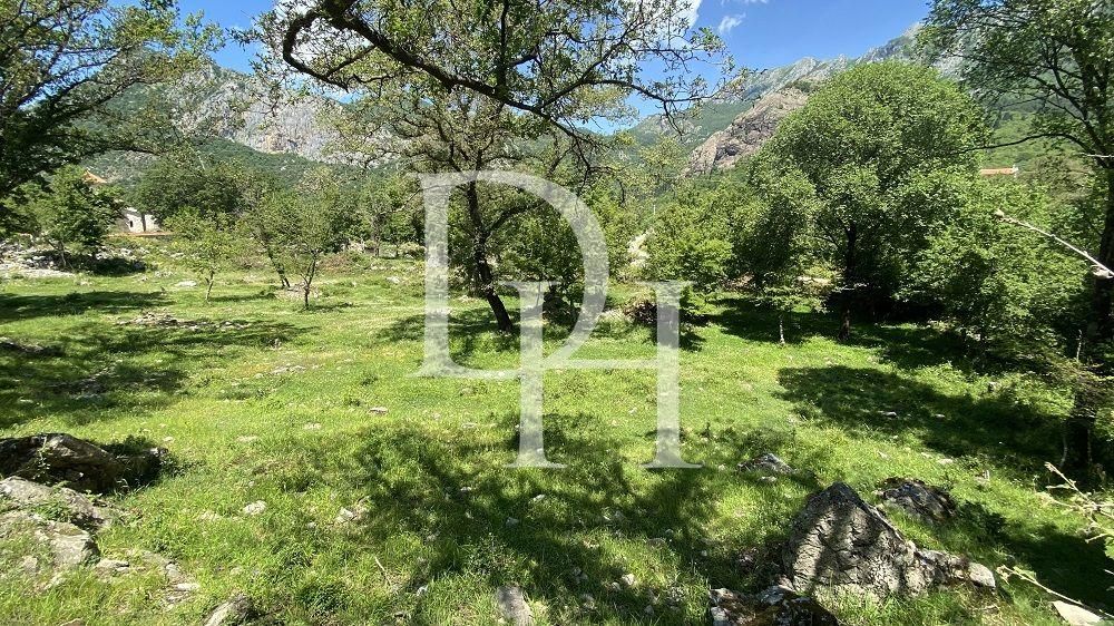 Участок в Баре, Черногория, 280м2 - стоимость 35&nbsp;000€ - Ref: 72818 фото 1