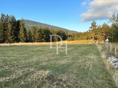 Участок в Жабляке, Черногория, 1 700м2 - стоимость 51&nbsp;000€ - Ref: 72822 фото 2