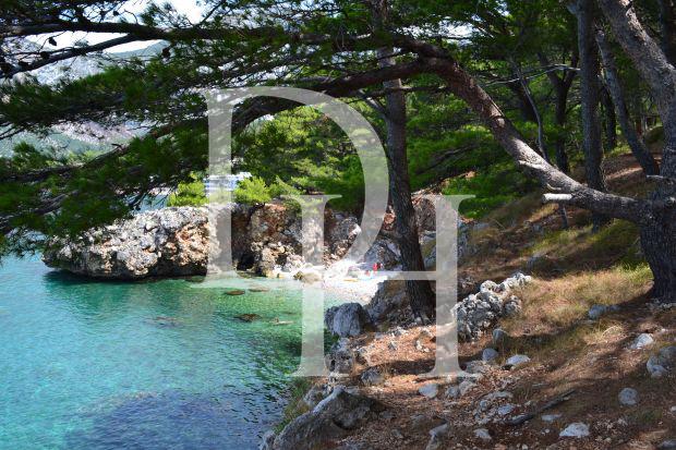 Участок в Ratac в Баре, Черногория, 30 000м2 - стоимость 1&nbsp;500&nbsp;000€ - Ref: 38 фото 1