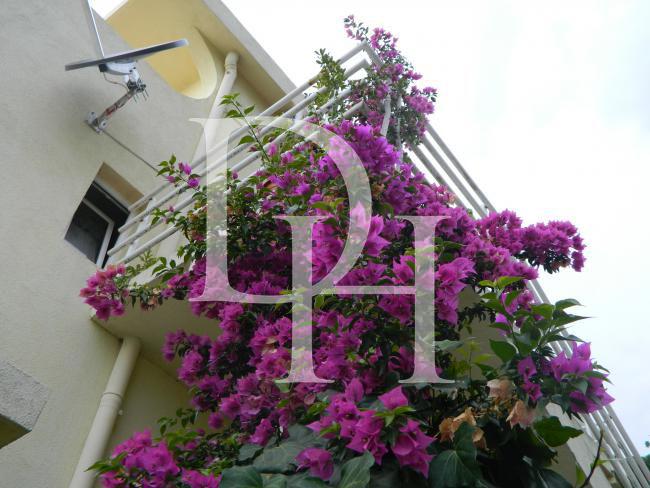 Таунхаус в Shushan у Барі, Чорногорія, 300м2 - вартість 260&nbsp;000€ - Ref: 1231 фото 6