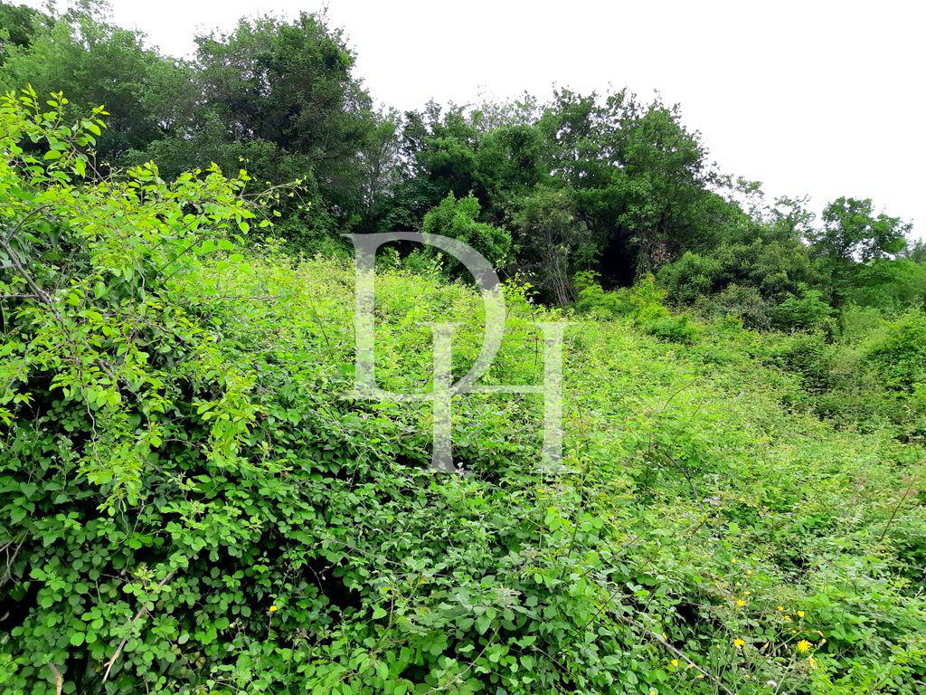 Land in Herceg Novi, Montenegro - for 32&nbsp;000€ - Ref: 10474 photo 2