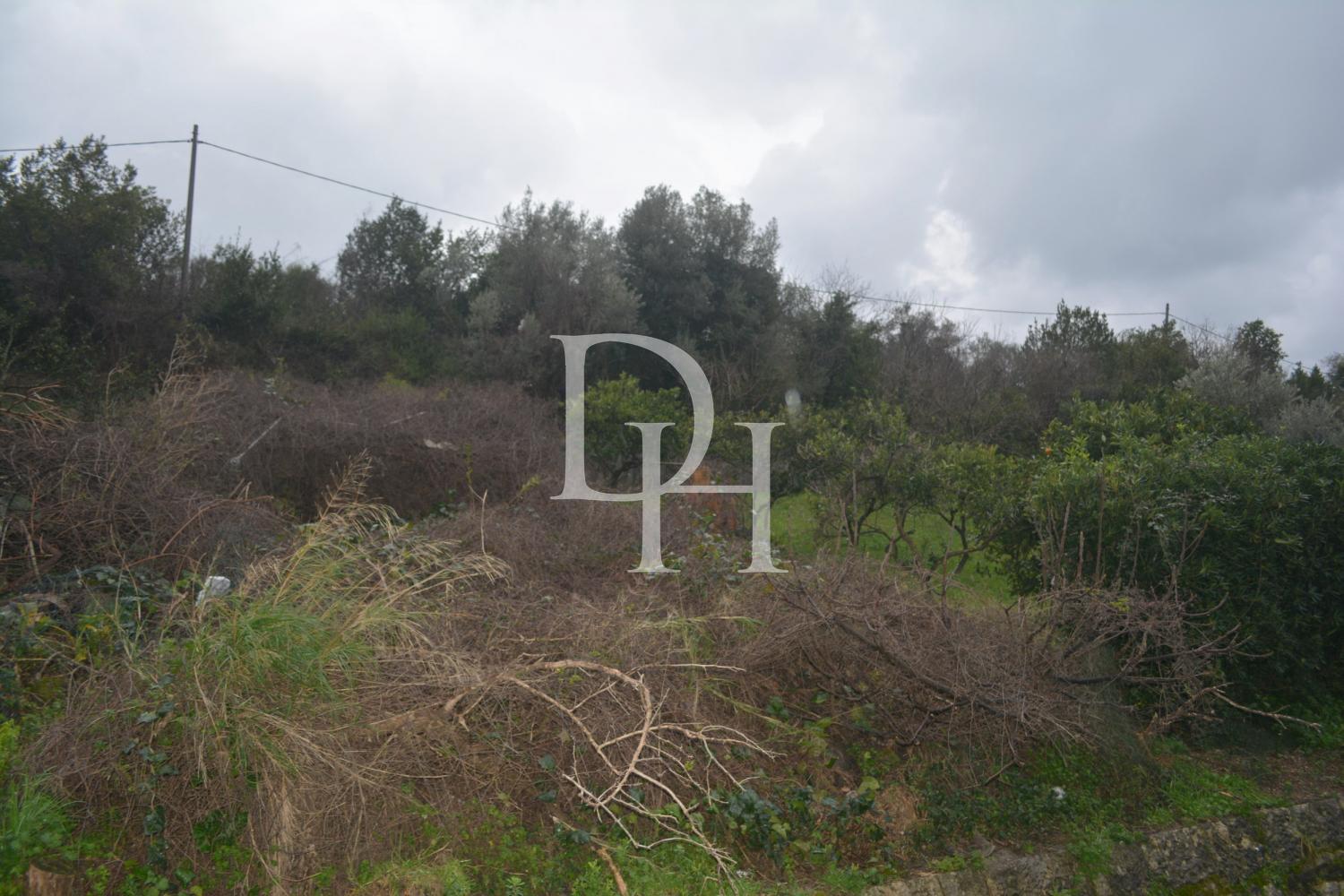 Działka w Tivat, Czarnogóra - koszt 100&nbsp;000€ - Ref: 10699 zdjęcia 2