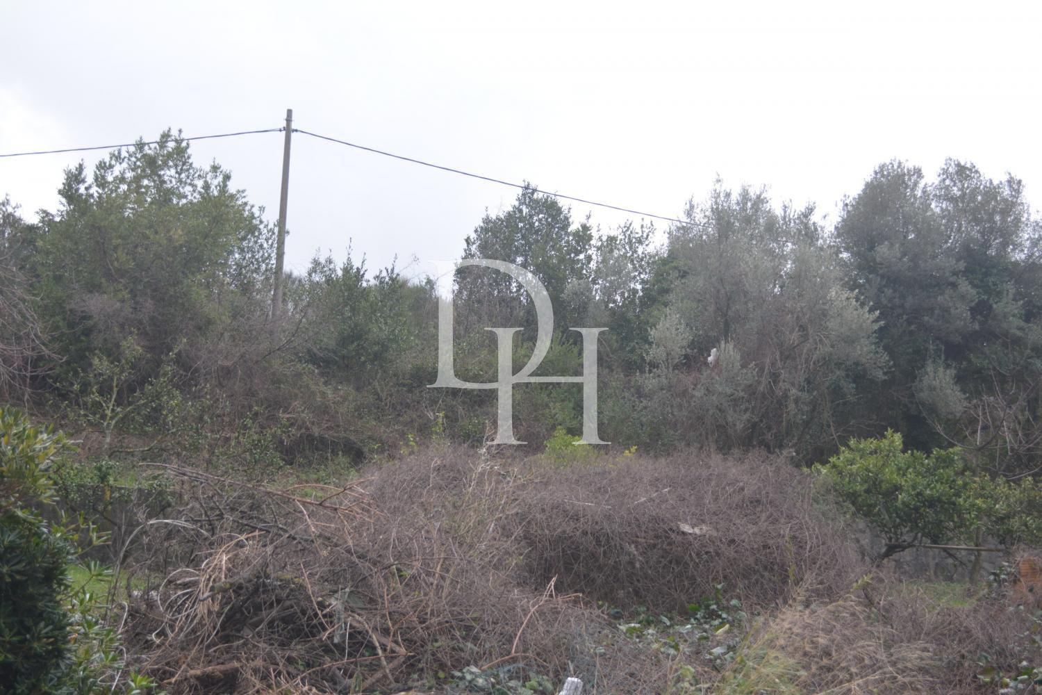 Ділянка у Тіваті, Чорногорія - вартість 137&nbsp;000€ - Ref: 10698 фото 3