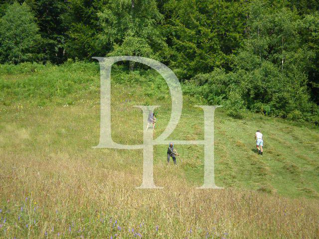 Участок в Жабляке, Черногория, 1 000м2 - стоимость 12&nbsp;000€ - Ref: 11408 фото 5