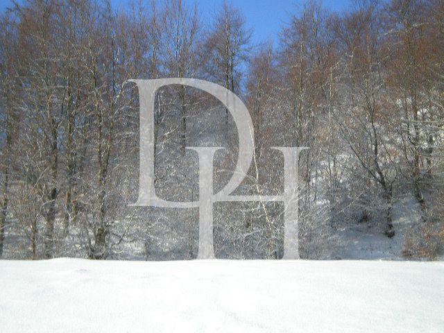 Участок в Жабляке, Черногория, 1 000м2 - стоимость 12&nbsp;000€ - Ref: 11408 фото 7