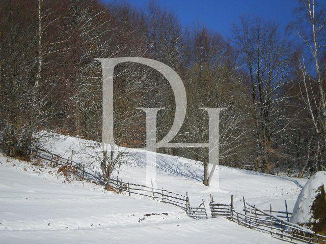 Участок в Жабляке, Черногория, 1 000м2 - стоимость 12&nbsp;000€ - Ref: 11408 фото 8