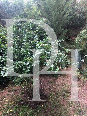 Wohnungen in Budva, Montenegro, 87m2 - kosten 125&nbsp;000€ - Ref: 11415 foto 3