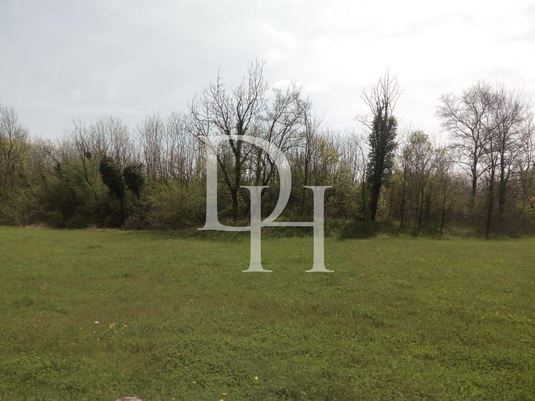 Дом в Даниловграде, Черногория - стоимость 80&nbsp;000€ - Ref: 13751 фото 5