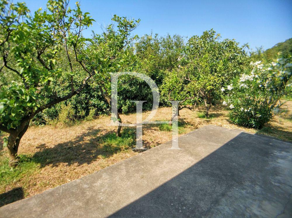 Бизнес в Баре, Черногория, 192м2 - стоимость 165&nbsp;000€ - Ref: 14880 фото 26