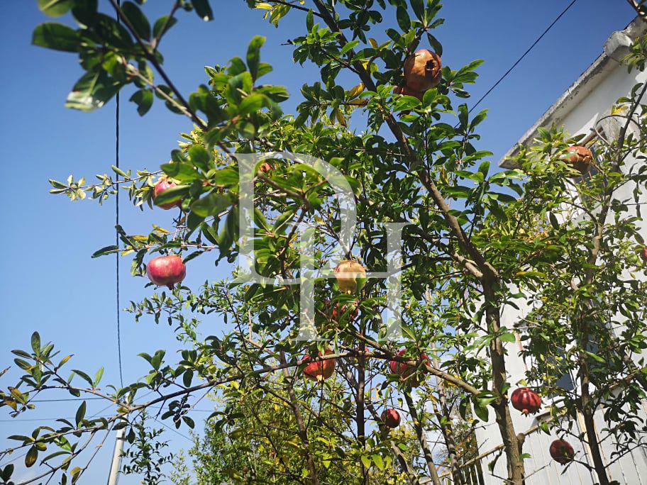 Cottage in Bar, Montenegro, 164m2 - for 300&nbsp;000€ - Ref: 15981 photo 24