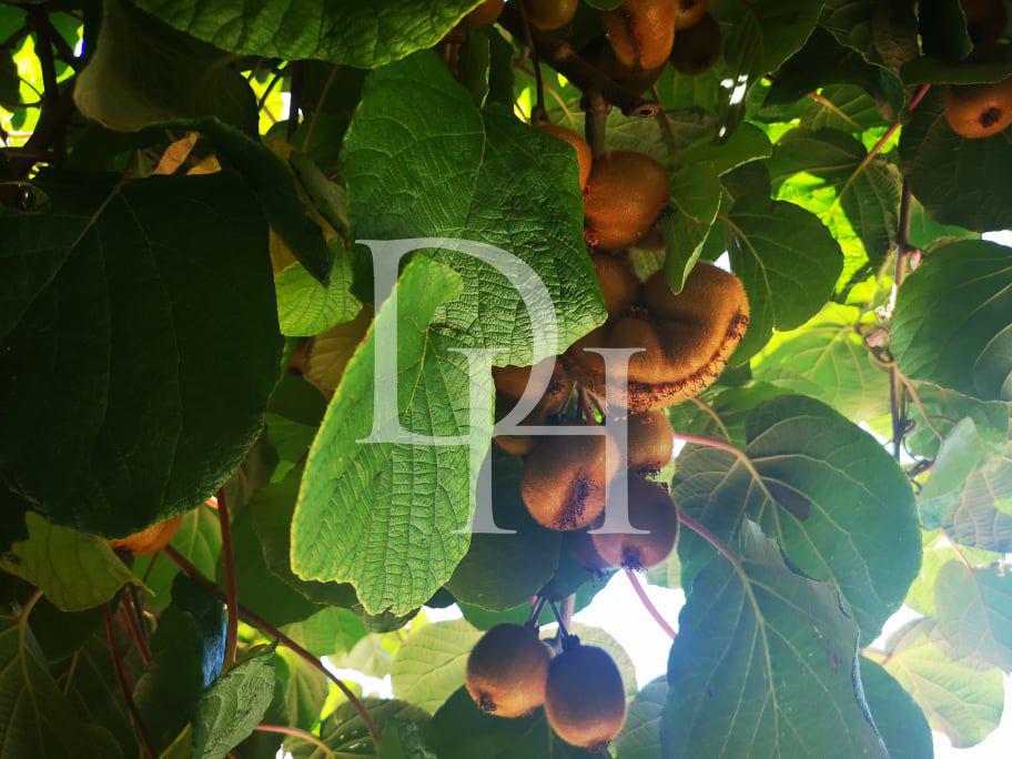 Cottage in Bar, Montenegro, 164m2 - for 300&nbsp;000€ - Ref: 15981 photo 39