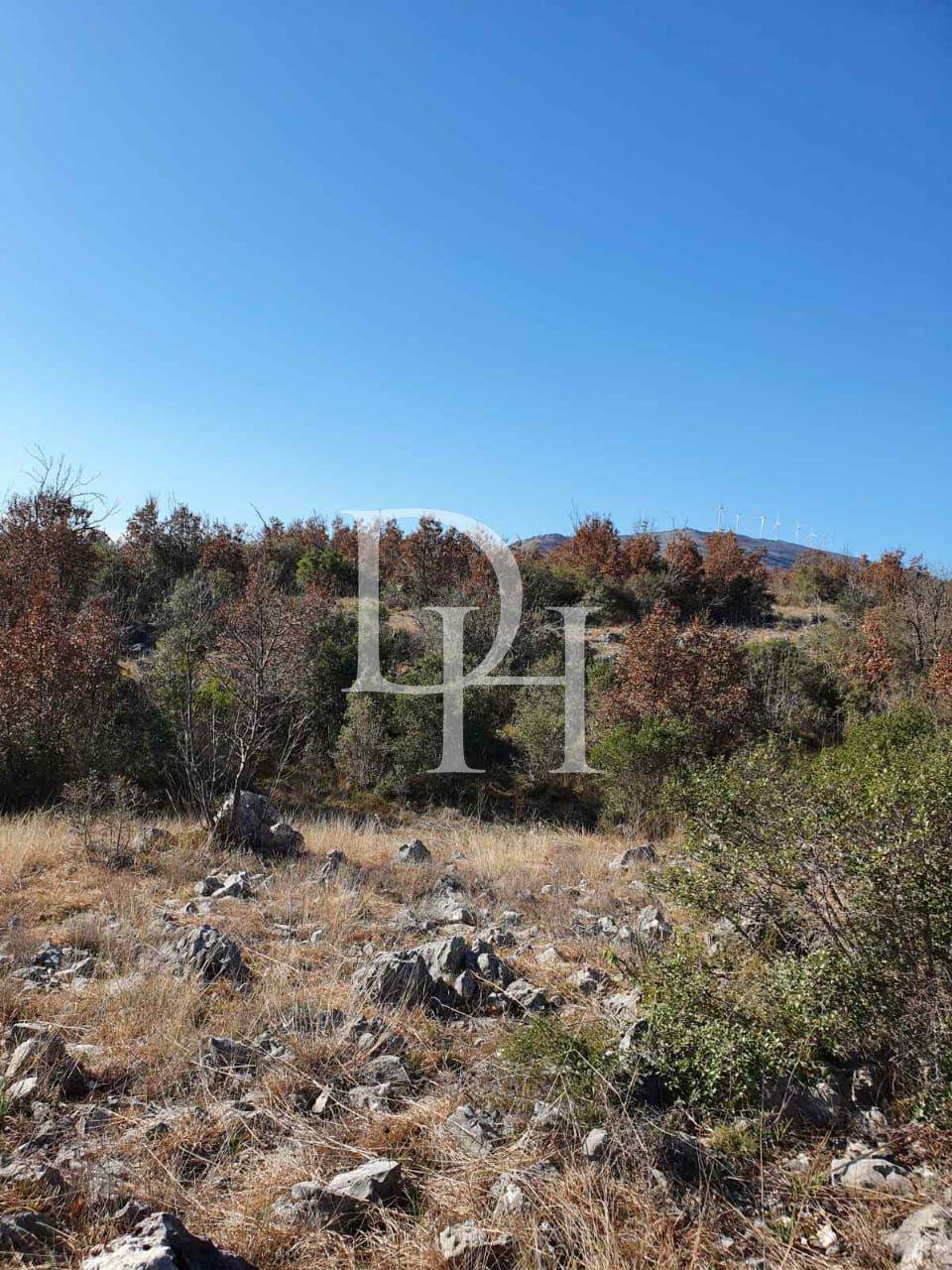 Land in Ulcinj, Montenegro, 17 926m2 - Ref: 18242 photo 4