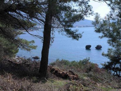 Участок в Ratac в Баре, Черногория, 30 000м2 - стоимость 1&nbsp;500&nbsp;000€ - Ref: 38 фото 2