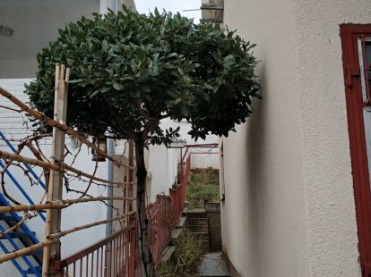 Вилла в Сутоморе, Черногория, 110м2 - стоимость 110&nbsp;000€ - Ref: 4832 фото 17